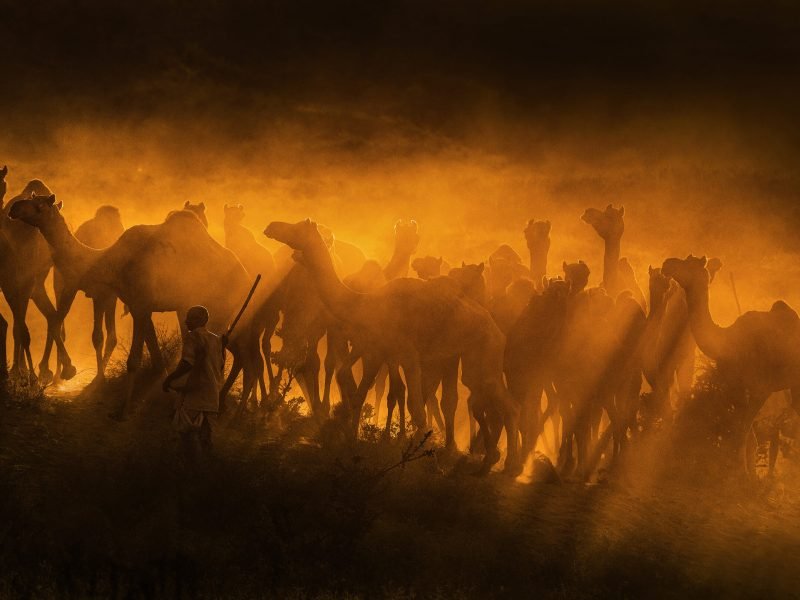 Copy of Abhishek Puro (2)