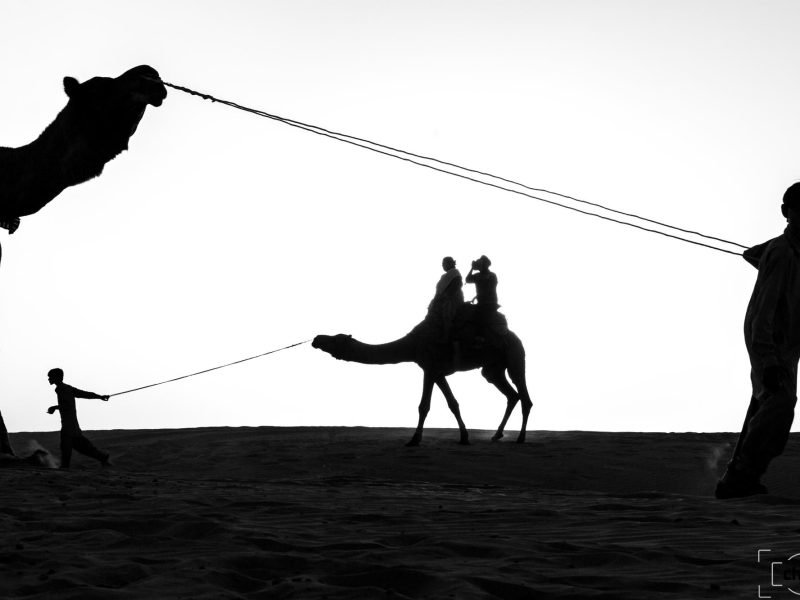 Copy of tcu4ep3z0k9-fetarcrisscross4udre